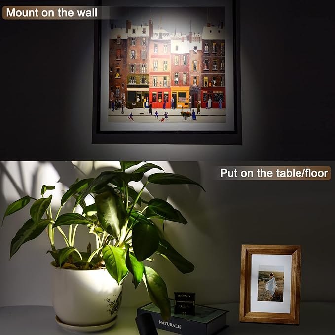 2 Pack LED Spot Lights - Dimmable with Timer & Remote,3W 3000K-5000K, 5.9FT Cord for Paintings,Wall Art, Indoor Plants & Home Accent Lighting