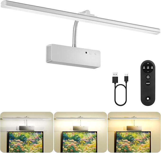 Lightbiz Picture Light, 20inch 6000mAh Rechargeable Picture Lights for Wall Battery Operated Wall Lights, 3 Colors Paintings Light Dimmable Art Light for Artwork, Gallery (Silver)