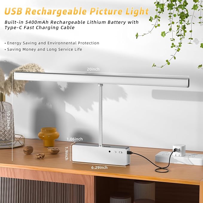 Lightbiz Picture Light, 20inch 6000mAh Rechargeable Picture Lights for Wall Battery Operated Wall Lights, 3 Colors Paintings Light Dimmable Art Light for Artwork, Gallery (Silver)