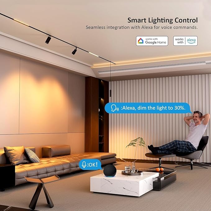 2-Pack Adjustable Focus Spotlight, 18W Magnetic Track Light Head, 24V LED Lamp, Rotatable Spotlight, Smart Control via App, Remote & Voice, Dimmable & CCT 2700K-6000K, Beam Angle 20°-45°