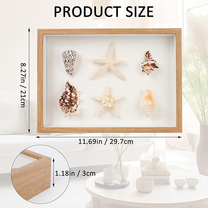liomey Shell Ornament Christmas Decor 11.69" x 8.27" Coastal Wall Art Wooden Frame with Natural Conch Shells, Nautical Beach Home Decor, Ocean Themed Display for Living Room, Bedroom, Office(Two Large Starfish)