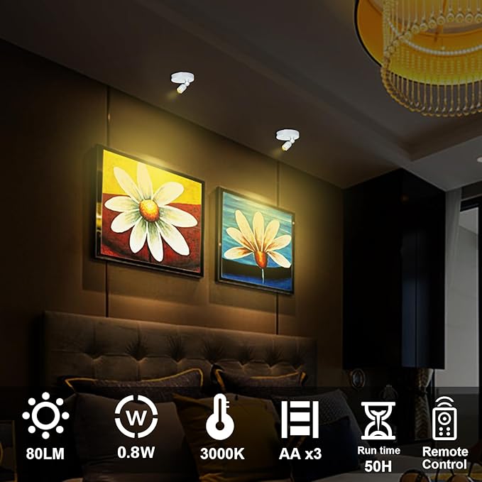 Indoor LED Spotlight, Battery Operated Spotlights with Remote, Picture Lights for Wall, Plant Tree Up Light with Timer, Accent Lights for Art Display Dartboard Painting Artwork Frames-Silver