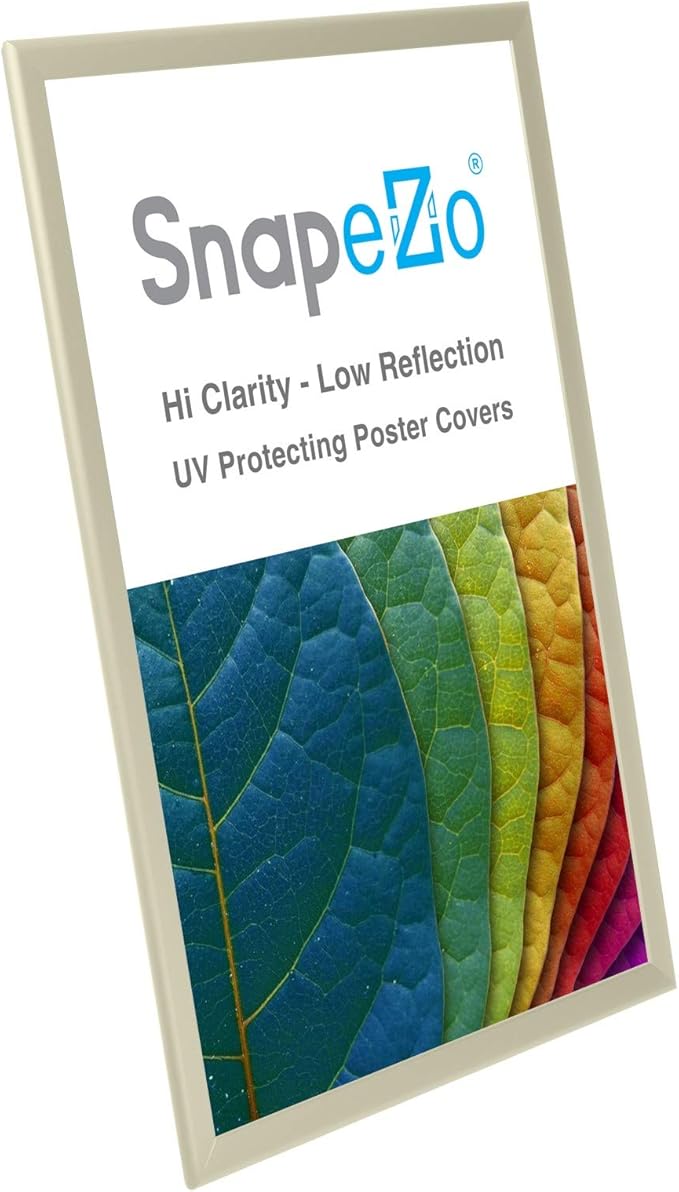 SnapeZo Poster Frame 20x30, Off-White, 1.25 Inch Aluminum Profile, Front-Loading Snap Frame, Wall Mounting, Professional Series