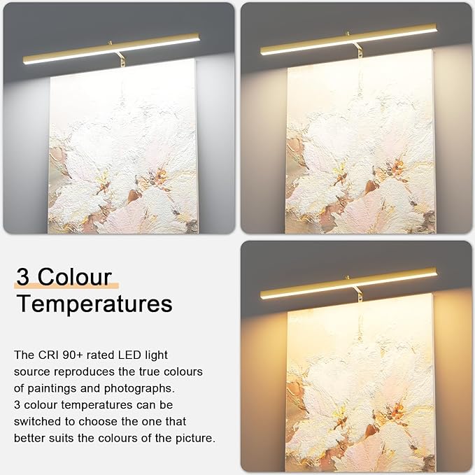 24" Plug in Picture Light for Paintings with Remote Control, 9W LED Art Display Lighting for Gallery, Dartboard, Artwork, Gold Finish Wall Mounted Picture Frame Light