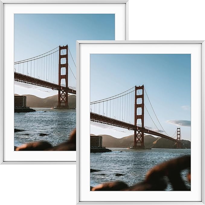 Frametory, 14x18 Metal Picture Frame with Mat for 12x16 Picture & Real Glass, Aluminum Photo Frame Collection (Silver, 2 Pack)