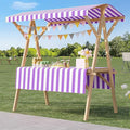 Outdoor Vendor Cart, Portable Cart with Canopy, Movable Stall Display Stand, Foldable Vending Stand Kiosk Display Trolley with Canopy, for Market, Street Food, Events(Purple,120cm/47.2in)