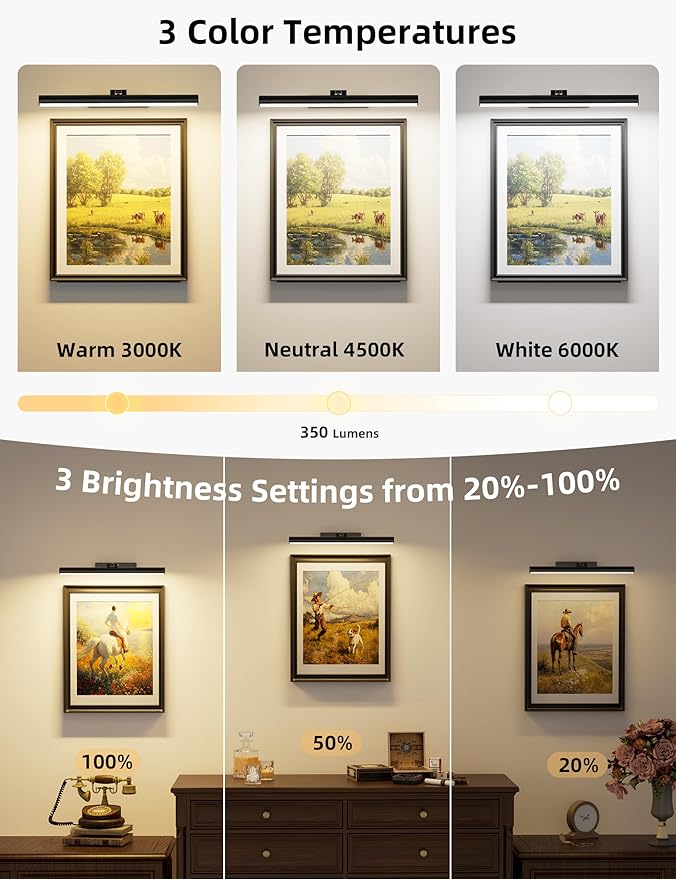 VOLISUN 16 inch Picture Lights for Wall, Rechargable Picture Light Battery Operated, 3 Color Temperatures Cordless Picture Light with Remote, Art Light for Paintings, Gallery, Portrait, 1 Pack (Black)