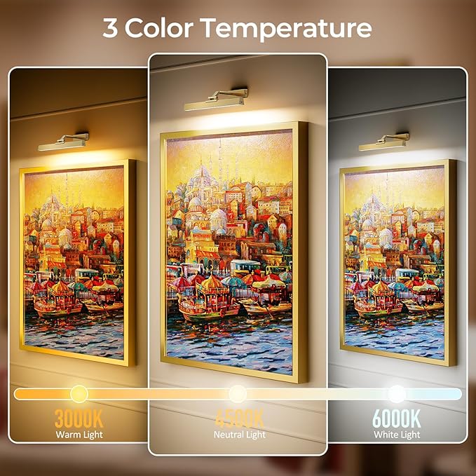 Picture Lights for Wall, Brushed Gold Battery Operated Picture Light 16in Art Light CCT Dimmable Recharging Battery Wall Light with Remote Control for Living Room Gallery