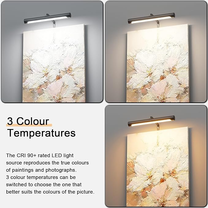 4W Picture Light Plug in, 12" Adjustable LED Art Light with Remote Control, Dimmable Wall Light for Picture Display Dartboard Art Work (Black)