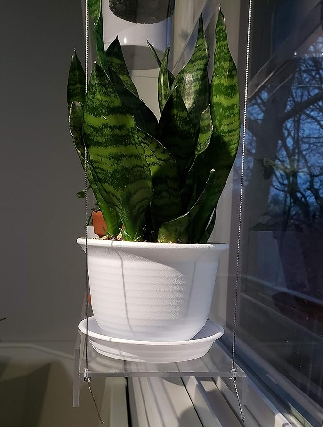 Hanging Acrylic Shelves for Windows (16" Wide, 1 Shelf - 26" Tall)