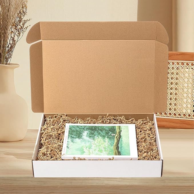 17x11x3" Shipping Boxes 20 Pack White Corrugated Cardboard Mailing Boxes for Small Business - Flat Literature Mailer Packaging Supplies