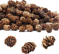 Deloky 400 PCS Christmas Natural Mini Pine Cones- Thanksgiving Pine Cones Ornaments- Fall Small Pinecones Vase Fillers for DIY Crafts, Home Decorations, Fall and Christmas, Wedding Decor