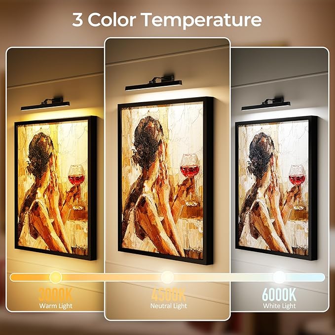 Picture Lights for Wall, Battery Operated Picture Light 24in Gallery Light for Paintings CCT Dimmable Recharging Battery Wall Light with Remote Control for Living Room Gallery Dartboard 2PCS