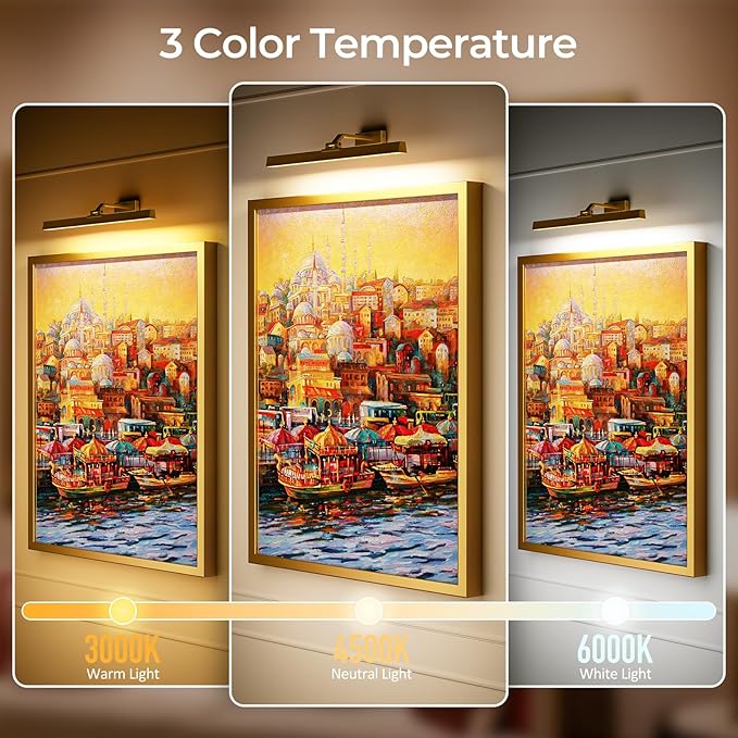 Picture Lights for Wall, 2PCS 24in Battery Operated Picture Light for Paintings CCT Dimmable Recharging Battery Wall Lamp with Remote Control for Living Room Gallery Dartboard Gold Color