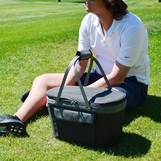 Picnic at Ascot Patented Insulated Folding Picnic Basket Cooler- Designed & Quality Approved in The USA
