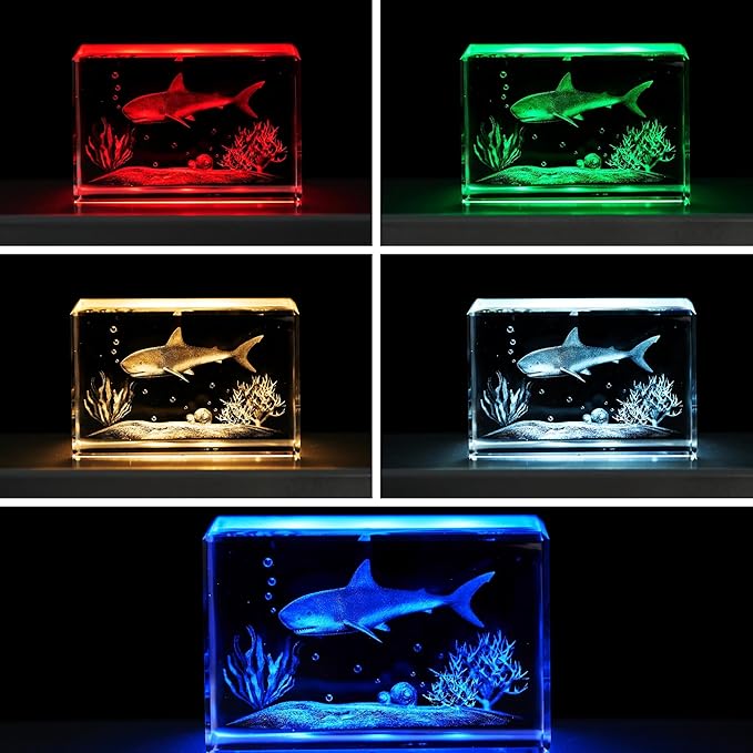EUSTUMA LED Light Base Rectangle Display Stand In A Variety of Colors,Lighted Up Stand Color Changing Small LED for 3D Glass Crystal Art,Holiday Party Decoration. (Silver, Large)