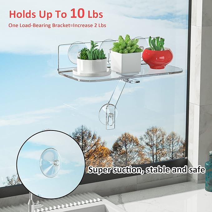 12 Inch Clear Acrylic Window Sill Plant Shelf with Strong Cup Suction, Hanging Window Plant Shelves for Plants, Camera, Picture Frame(1 Pack)
