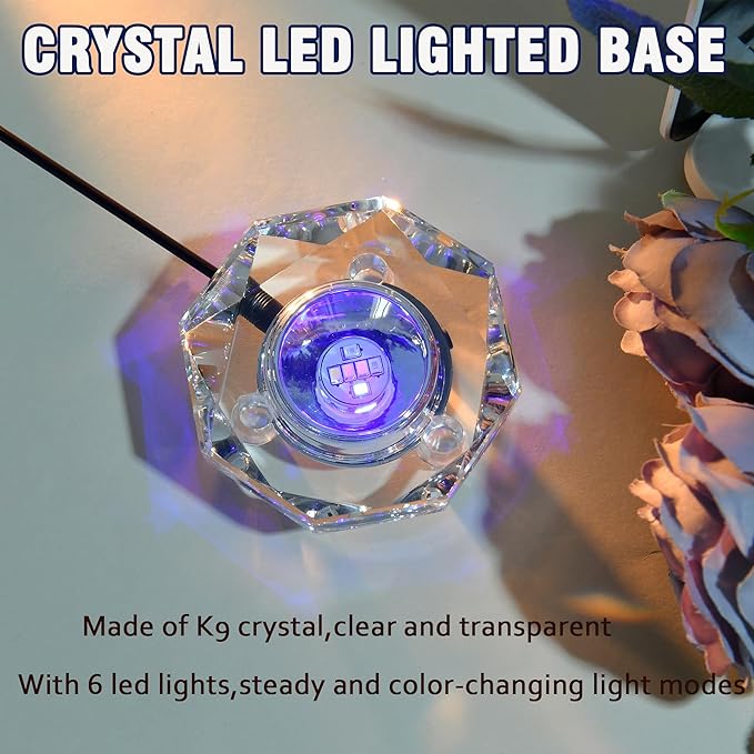 IFOLAINA Crystal LED Light Base Multicolor Changing Pedestal Color Show Stand Lighted Display Plate AC Power for 3D Glass Art Octagon Light Base