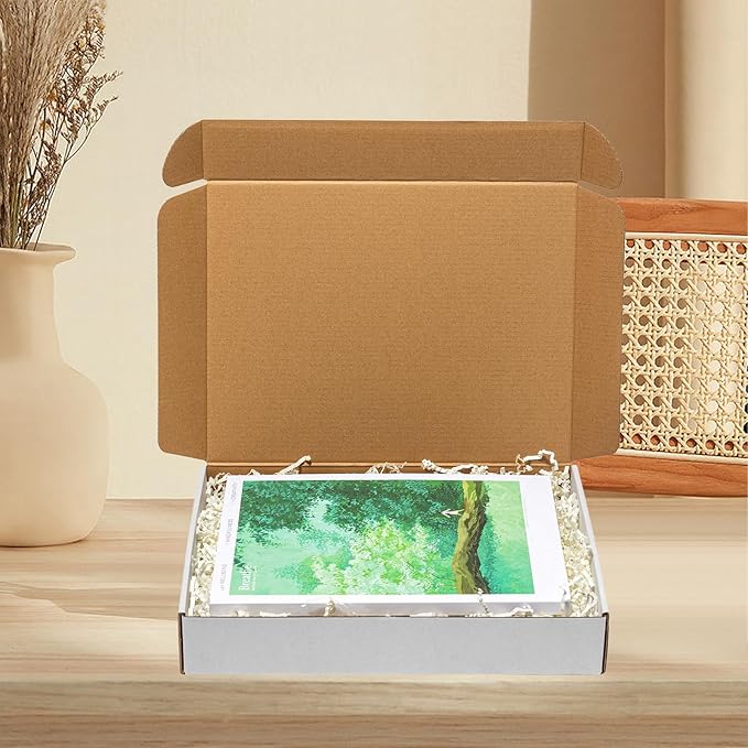 Shipping Boxes 12x9x2" 30 Pack - White Corrugated Cardboard Box Mailers for Small Business, Literature Mailer Box Packaging Supplies
