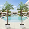 7FT Faux Palm Tree, Artificial Golden Cane Palm Tree Outdoor Indoor, Fake Tree for Home House Office Living Room Yard Patio, 2Pack