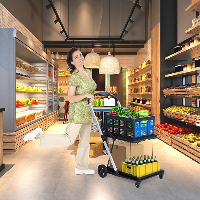 Foldable Shopping Cart with 2 Storage Crates – 2-Tier Collapsible Utility Cart, Aluminum Trolley with 360° Rolling Swivel Wheels & Removable Baskets for Groceries, Office, Travel, Apartment