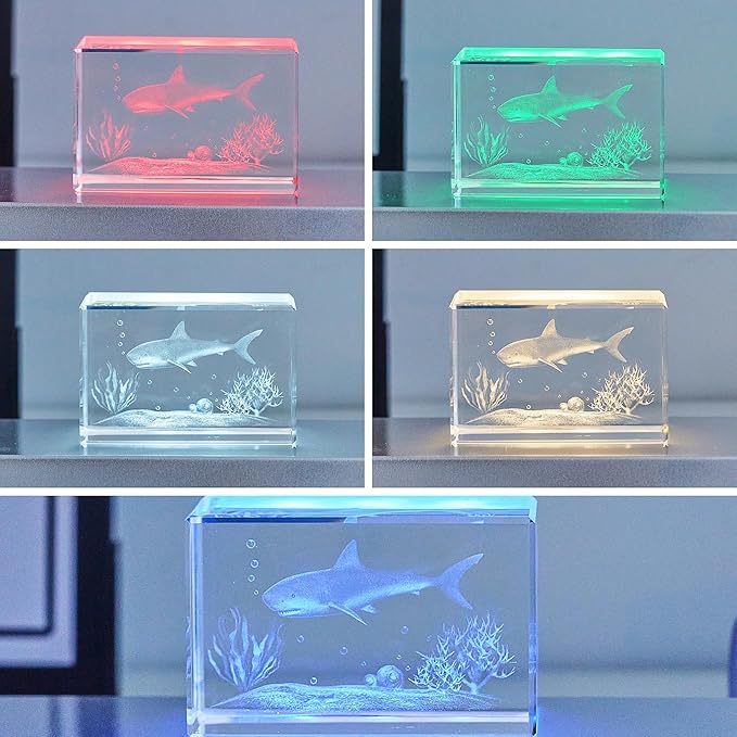 EUSTUMA LED Light Base Rectangle Display Stand In A Variety of Colors,Lighted Up Stand Color Changing Small LED for 3D Glass Crystal Art,Holiday Party Decoration. (Black, Large)