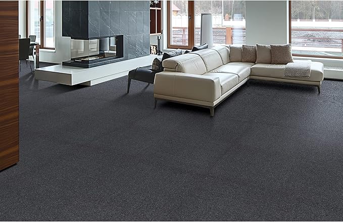 Mohawk Advance 24" x 24" Berber (Loop pile), 0.11" Pile Height, Carpet Tile, Nylon Fiber, Black Color, (24 Tiles), (96 sqft/carton)