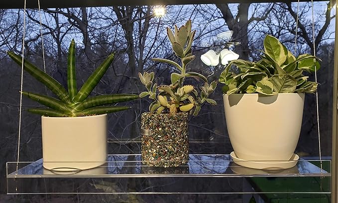 Hanging Acrylic Shelves for Windows (16" Wide, 3 Shelves - 46" Tall)