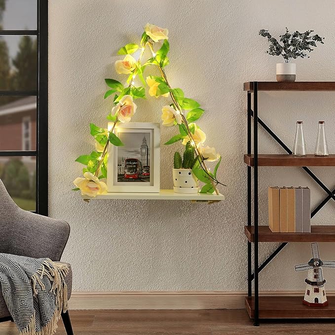 Floating Shelves for Wall,Plant Wall Decor,Hanging Shelf,Cottage Core Decor,Room Decor Aesthetic,Trinket Shelf,Hanging Shelves,Floating Shelves for No Drilling,Two-Piece Set