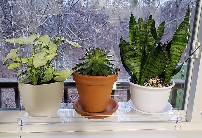 Hanging Acrylic Shelves for Windows (28" Wide, 5 Shelves - 66" Tall)