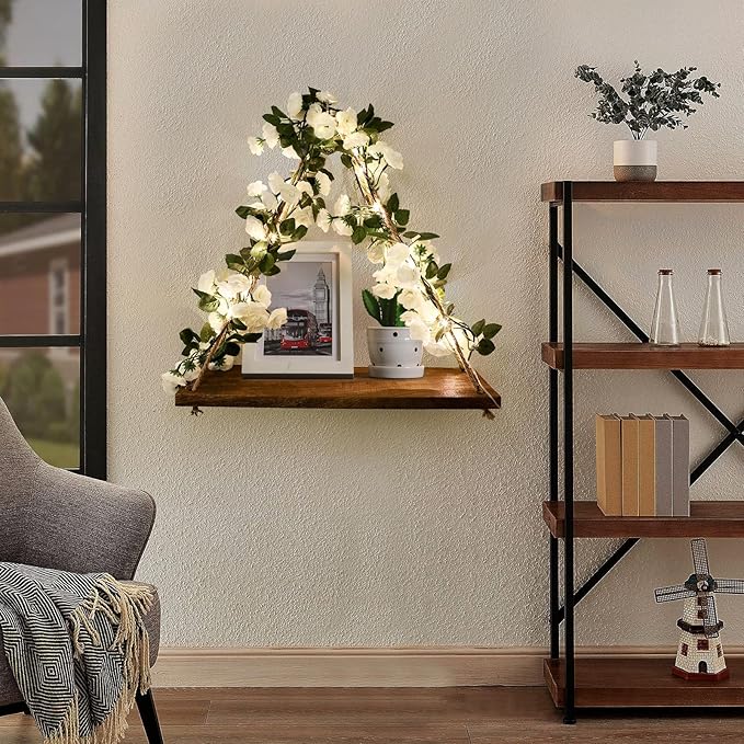 Floating Shelves for Wall,Plant Wall Decor,Hanging Shelf,Cottage Core Decor,Room Decor Aesthetic,Trinket Shelf,Hanging Shelves,Floating Shelves for No Drilling,Two-Piece Set