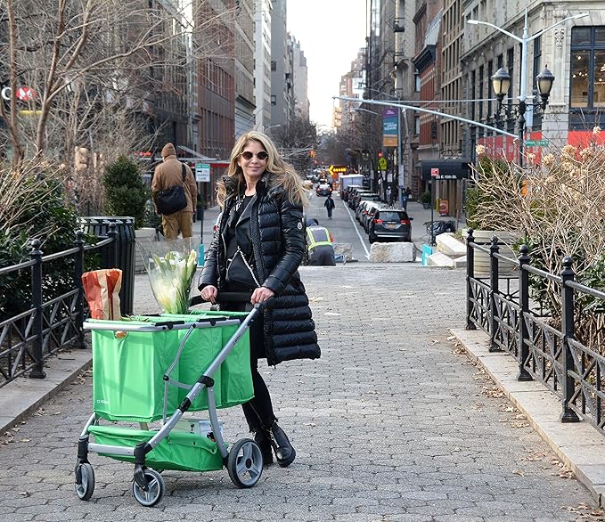 Reusable and Foldable 3 Shopping Bags Easy for Shopping and Carrying Groceries in Store (Silver Frame + 3 Green Baskets)