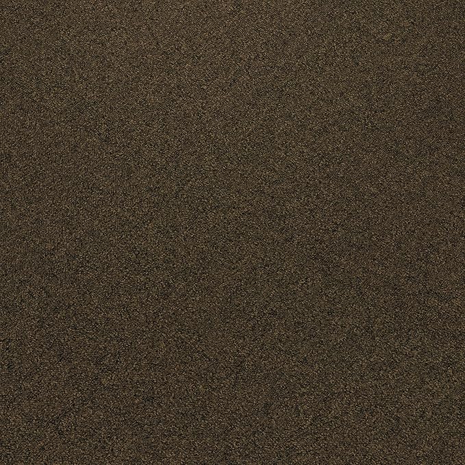 Mohawk Advance 24" x 24" Berber (Loop pile), 0.11" Pile Height, Carpet Tile, Nylon Fiber, Tierra Color, (24 Tiles), (96 sqft/carton)